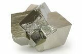 Shiny, Natural Pyrite Cube Cluster - Navajun, Spain #347336-1